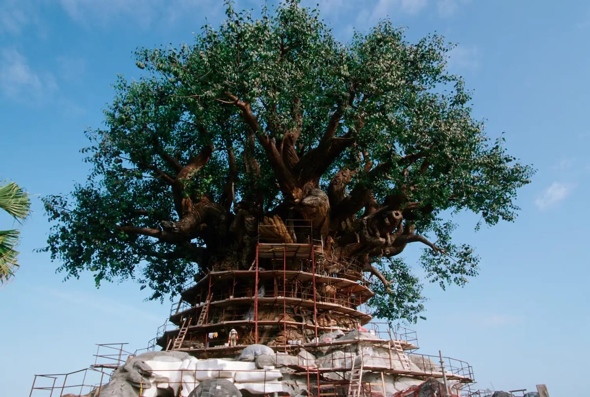 tree of life, animal kingdom