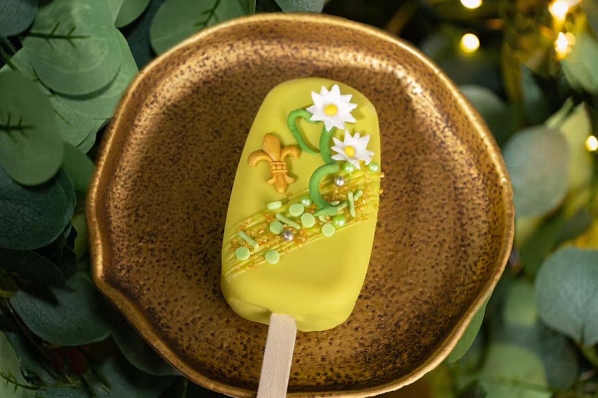 princess and the frog bar