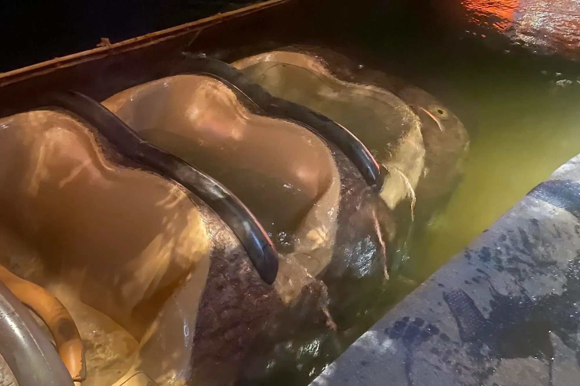 Splash Mountain Boat Sinks...with guests aboard!