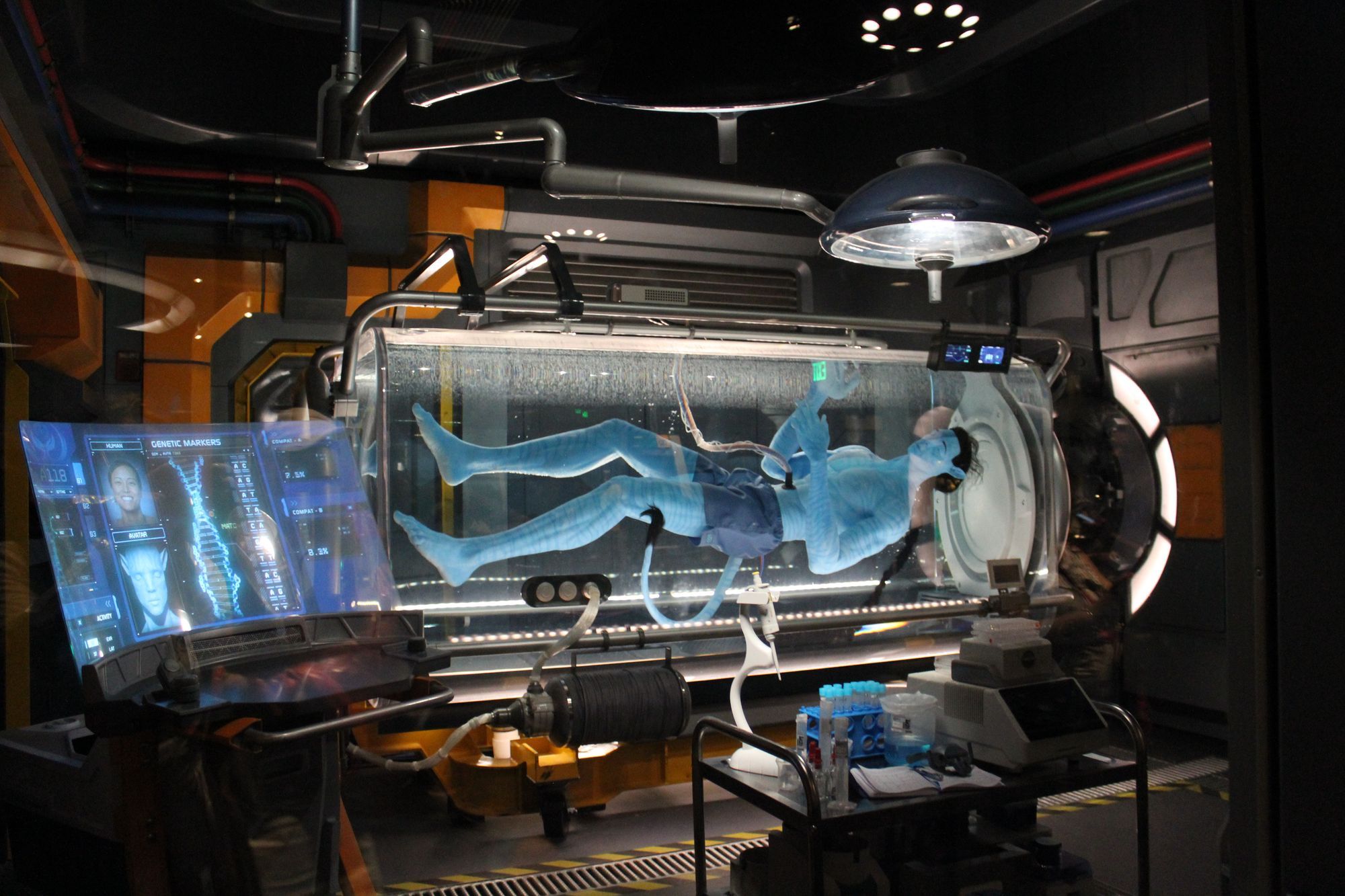 Why Flight Of Passage Needs Some Changes