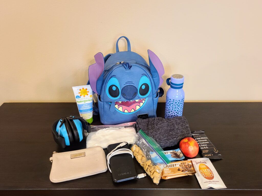 Ultimate Disneyland Packing List for All Year Round