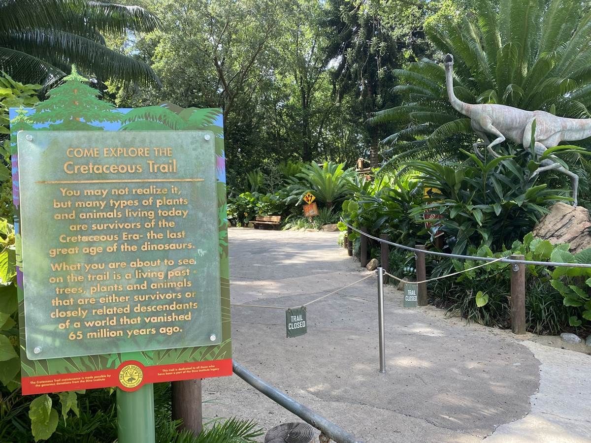Disney Animal Kingdom Cretaceous Trail
