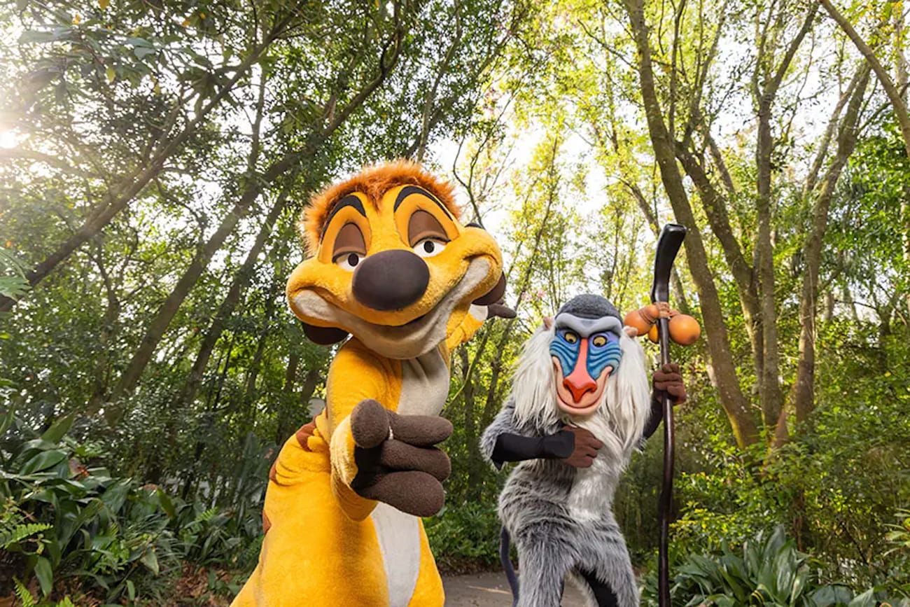 disney's animal kingdom, timon and rafiki