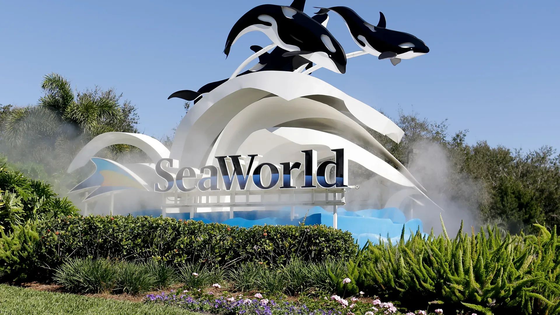 Lynn the Mime Reportedly Fired From SeaWorld Orlando