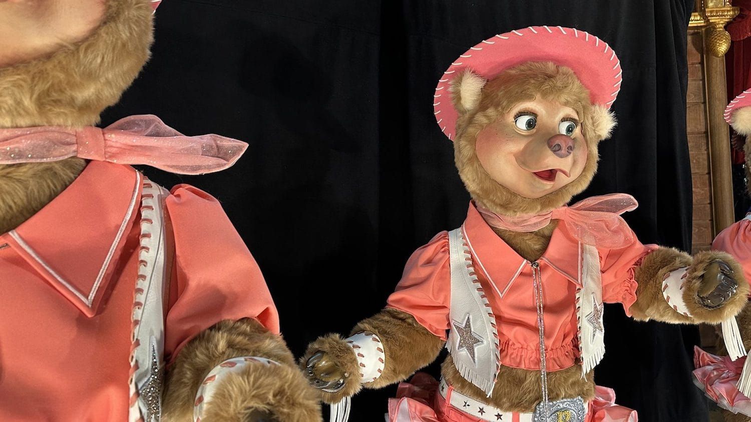 country bear jamboree wdw