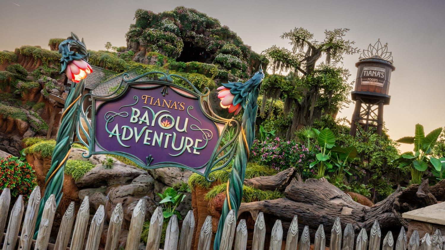 tiana's bayou adventure