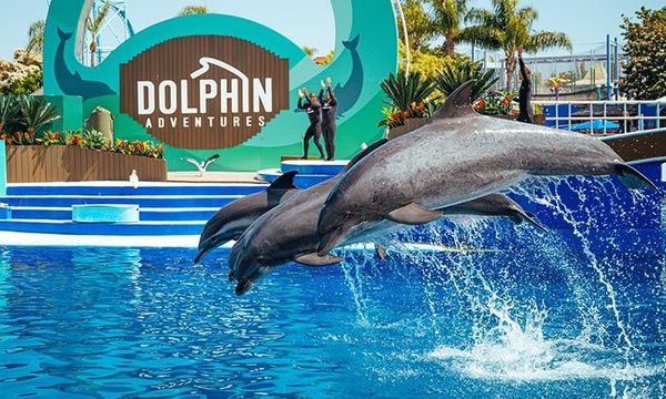 SeaWorld San Diego Approved for Partial Reopening