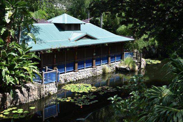 A Look Back at the Discovery River Boats of Animal Kingdom