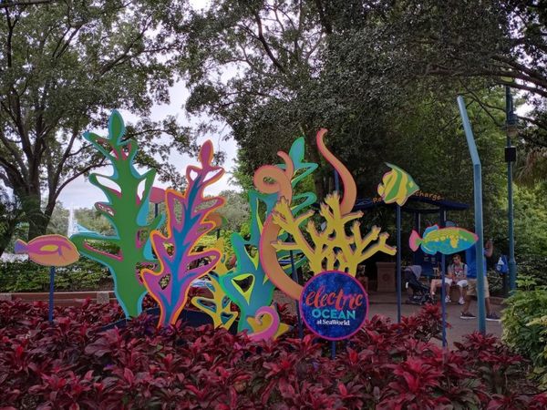 Electric Ocean Returns To SeaWorld Orlando
