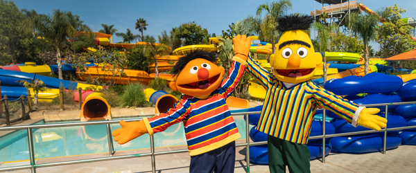 Sesame Place Employee Punched for Enforcing Park's Mask Policy