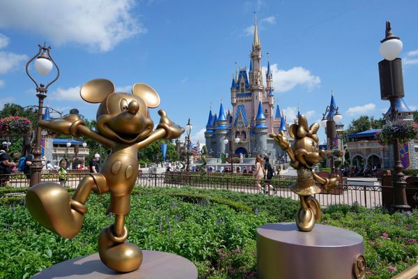 How To Plan A Disney World Trip in 2021