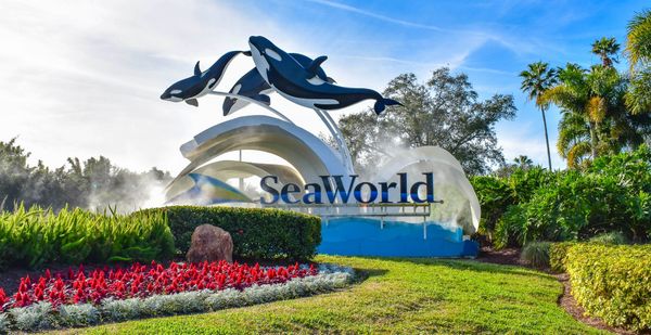 SeaWorld and Busch Gardens introduce Fun Card