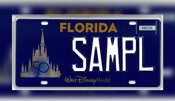 Walt Disney World Resort License Plate Design Finally  Revealed