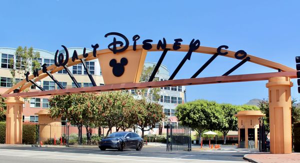 The Disney Company