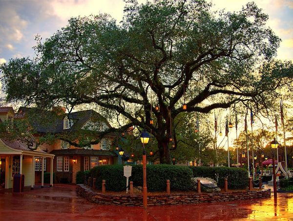 61 Fun Facts About Disney Parks