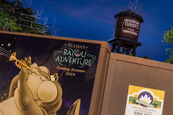 Tiana’s Bayou Adventure Is Opening at WDW This Summer