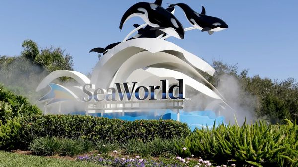 Lynn the Mime Reportedly Fired From SeaWorld Orlando
