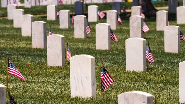 Trump Went to Arlington. His Feed Went Elsewhere.