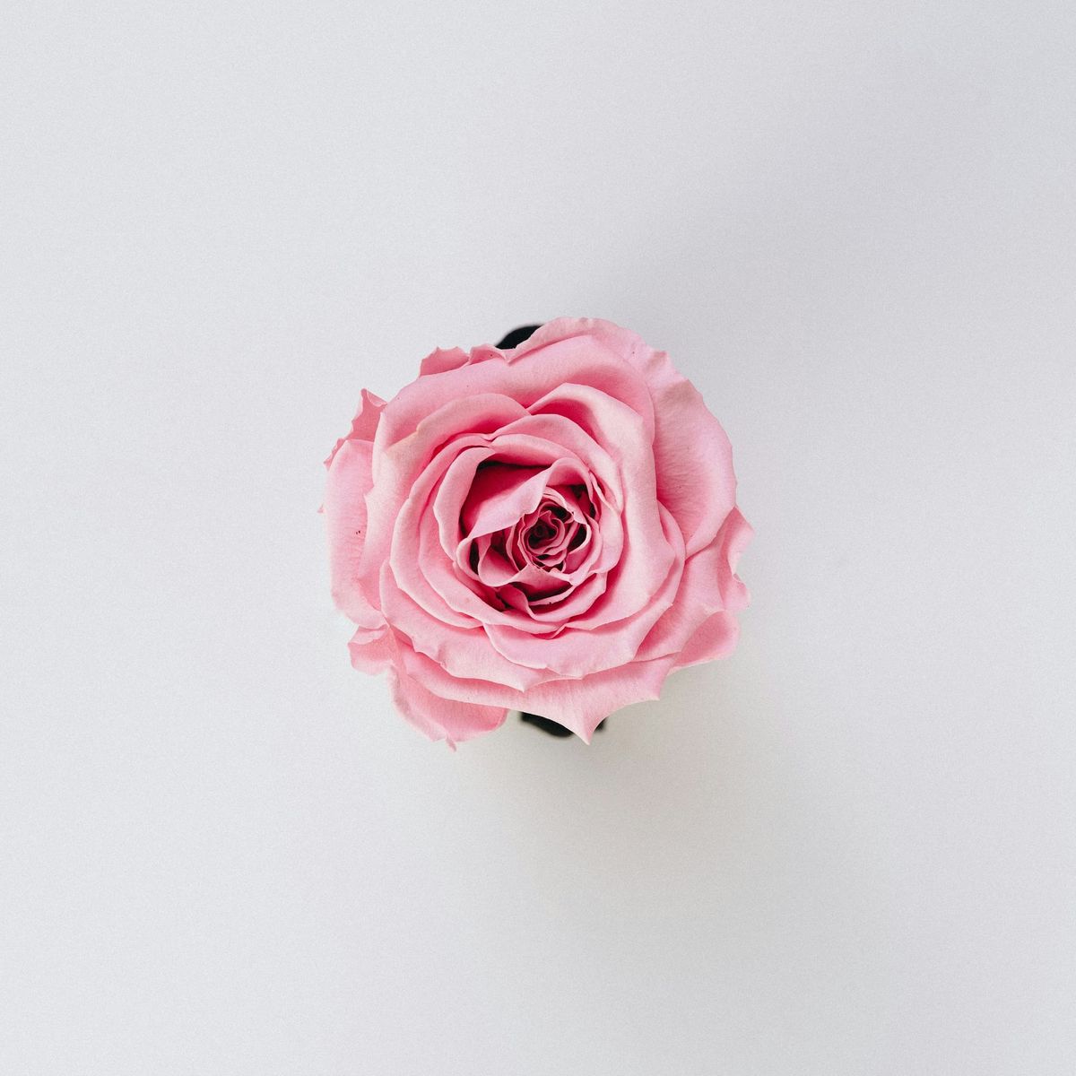 Remote Healings