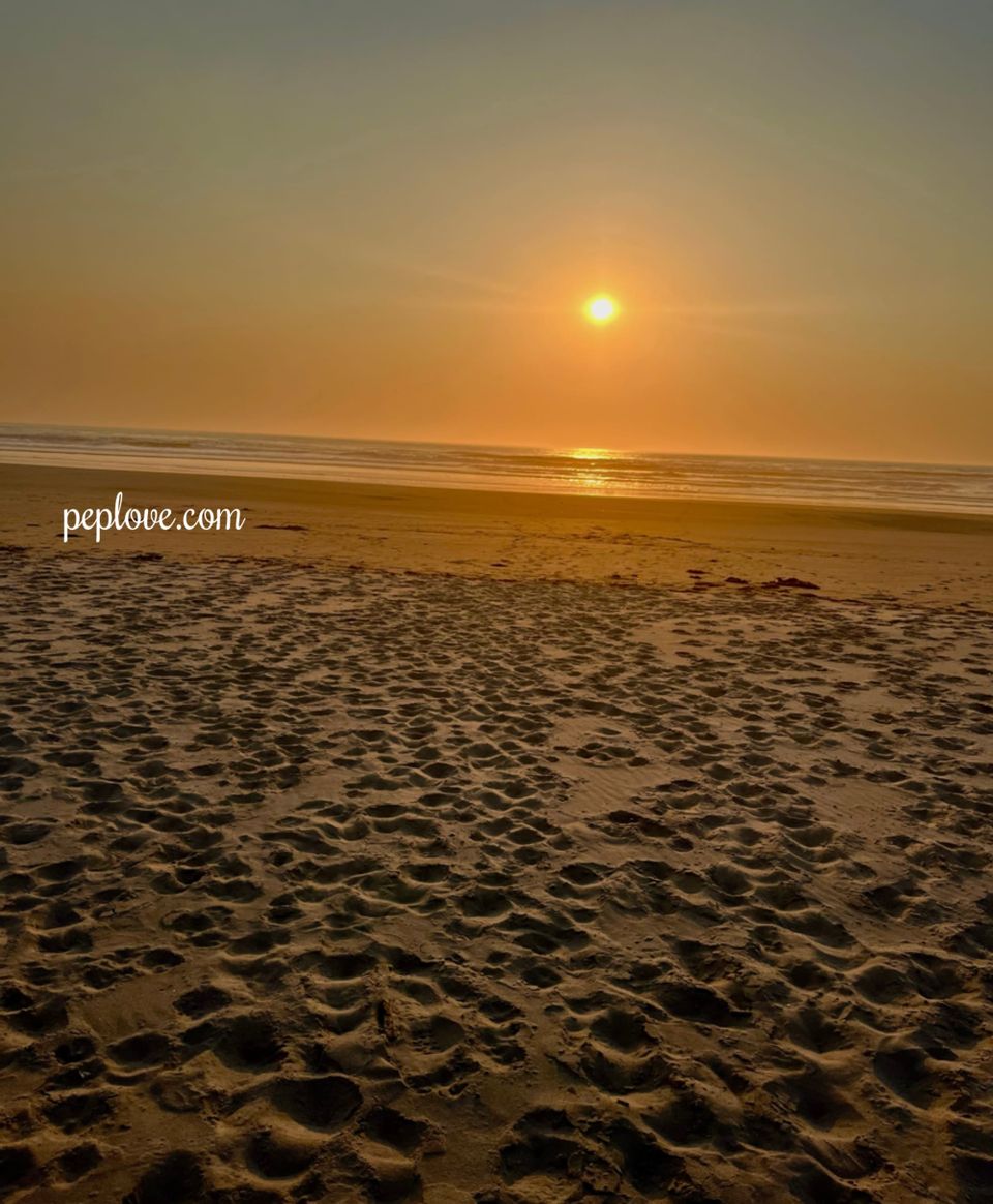 May 2025: Mommies, Masturbation, & More!