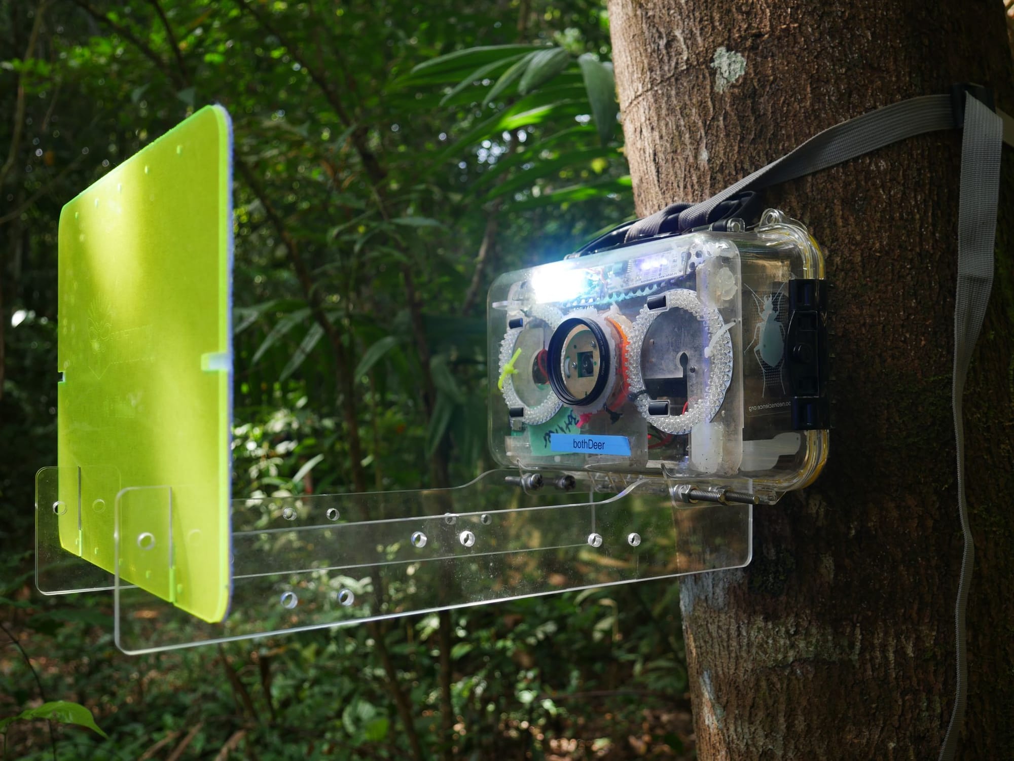 Photo of a Mothbox hanging from a tree in Panama