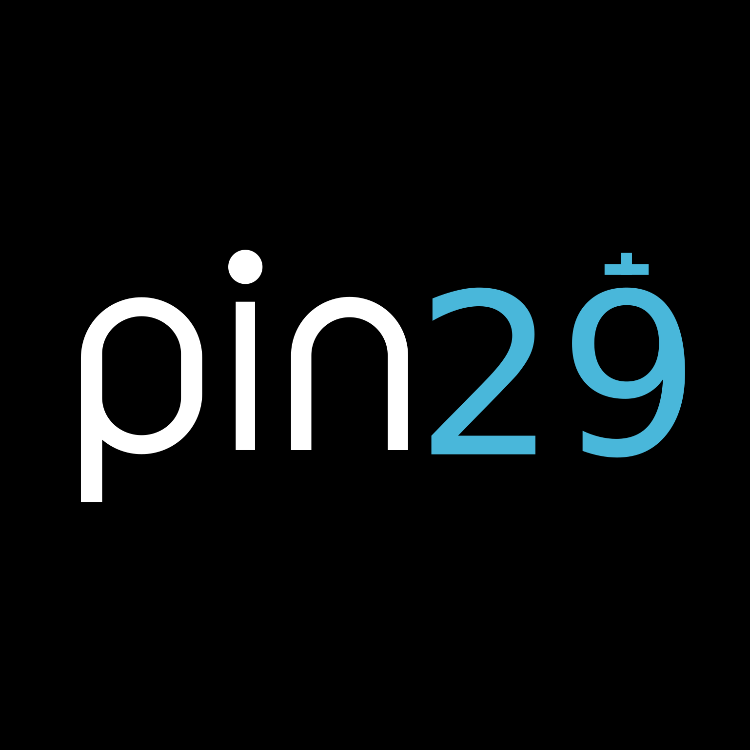 Pin29 logo