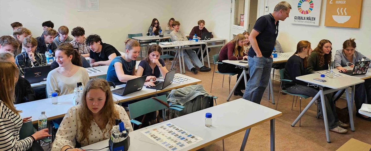 The OpenFlexure microscope in educational settings