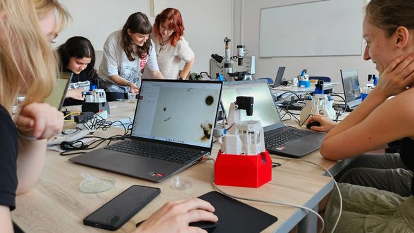 OpenFlexure Working Group