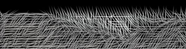 Turtles All the Way Down