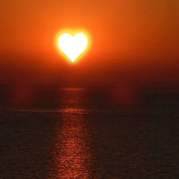 Love With No Strings Attached