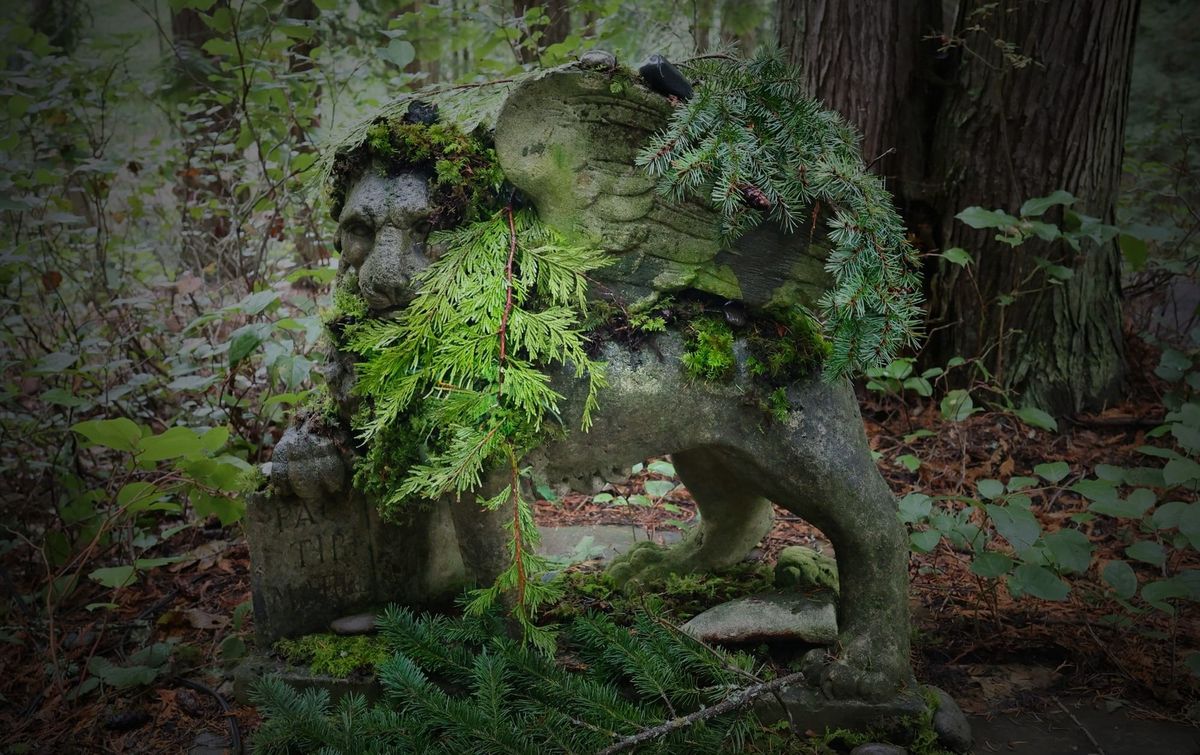 Tending a Living Altar | A Living World Practice