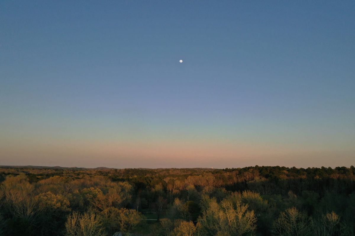 The Three Horizons of Business Foresight