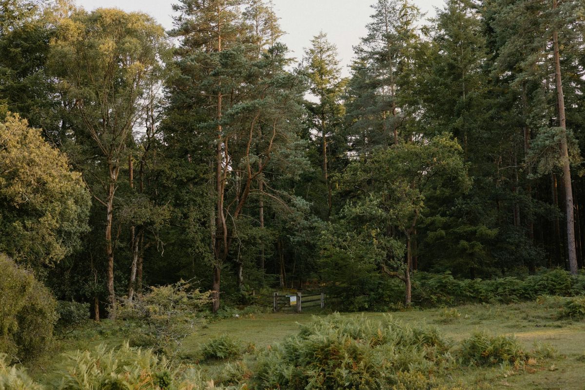 August och omvärlden