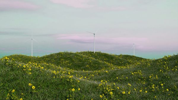 The winning strategy is to go green, just look at China