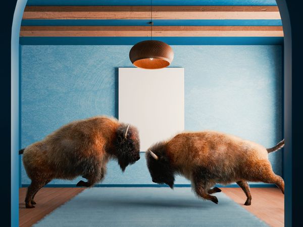 Should we worry about the AI-hype and the stock market?