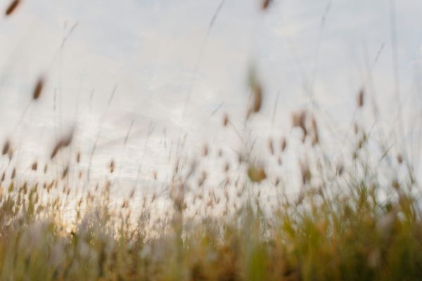 How our ability to navigate the world is connected to self-development