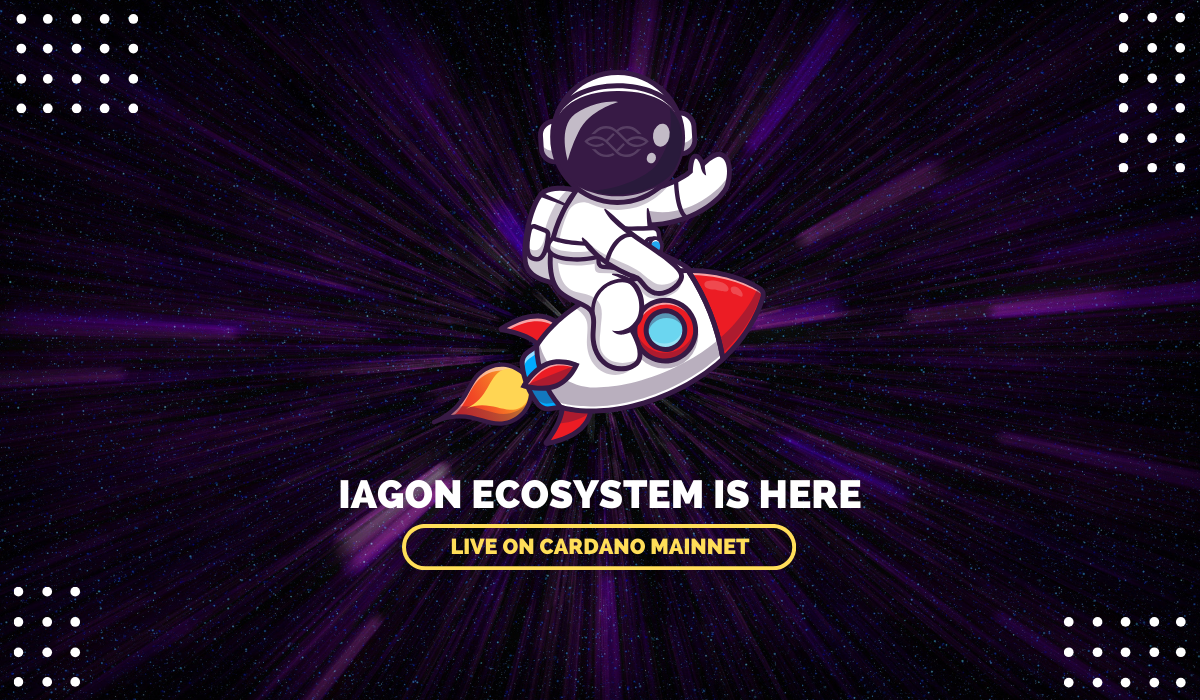 Mainnet Liftoff: Commencing Our Stellar Journey