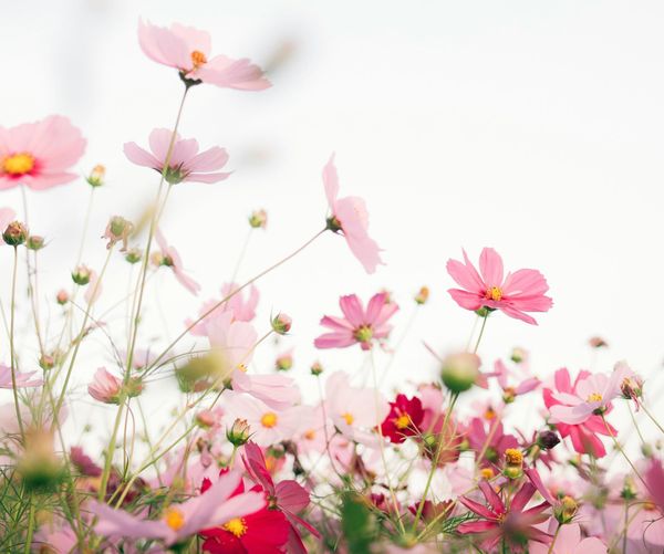 5 Signs You're in Perimenopause (Before Your Period Even Changes)