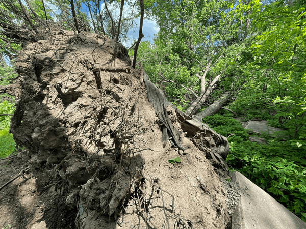 Ottawa Sleeps Tonight …