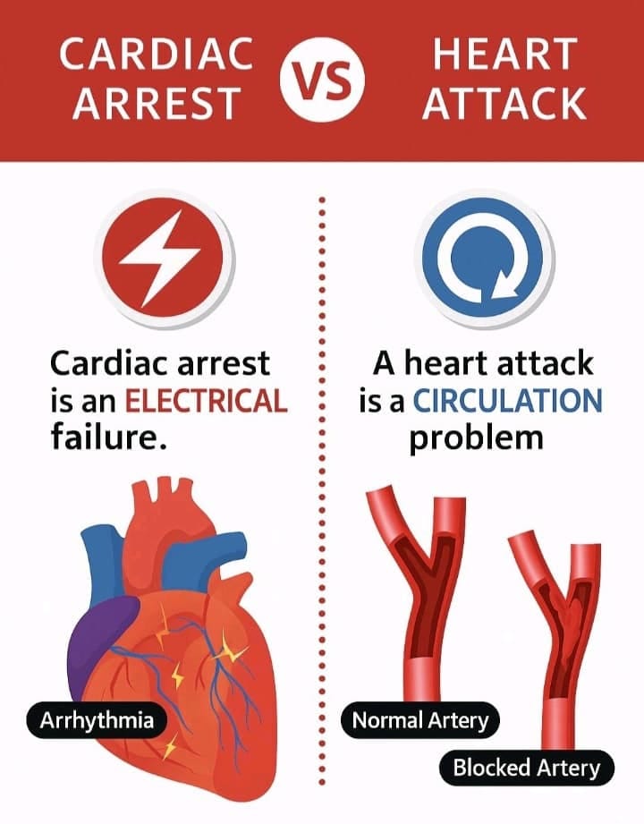 Cardiac Arrest vs Heart Attack