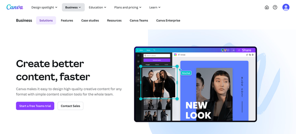 Custom Canva Design Services for Small Brands & Influencers