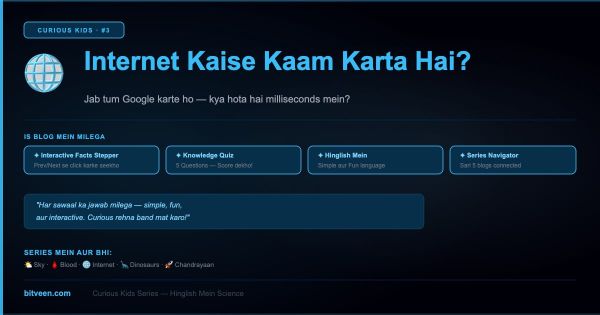 Internet Kaise Kaam Karta Hai? — Curious Kids | Bitveen