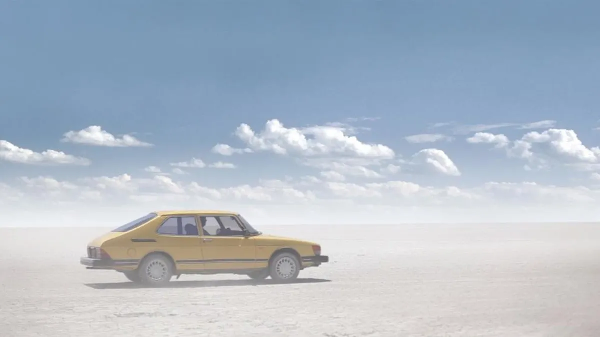 Quentin Dupieux. Wrong. 2012.