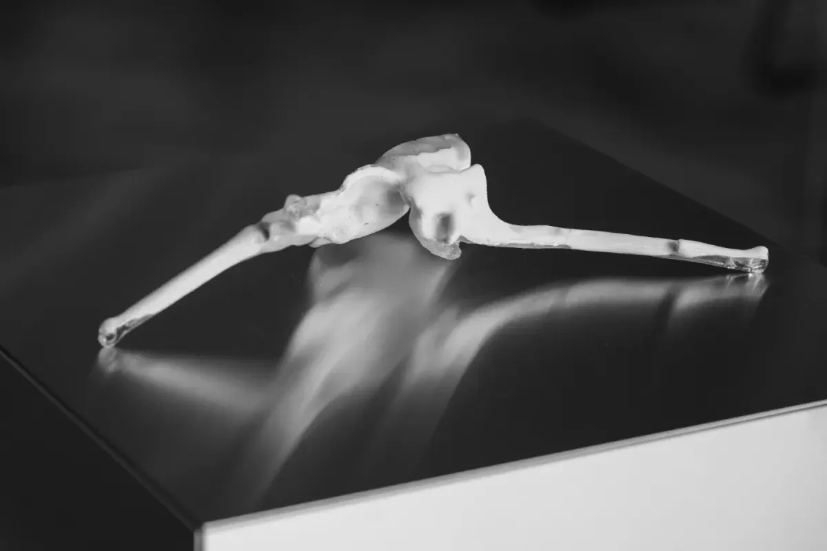 Akari Takenobu. Uncertain Liminality. Impression 3D. 2026.