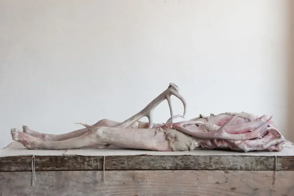 Berlinde De Bruyckere, Liggende I, 2011–2012.
