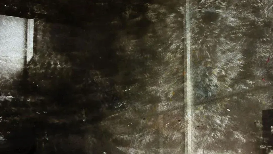 Eva Nielsen la surface du réel