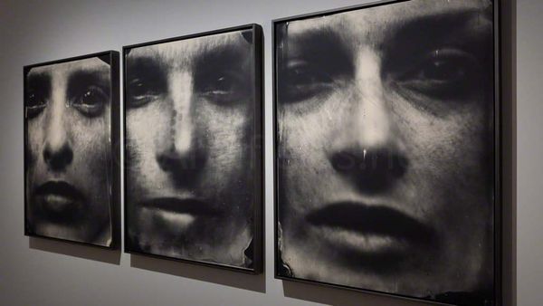 Sally Mann au musée du Jeu de Paume. A thousand crossings
