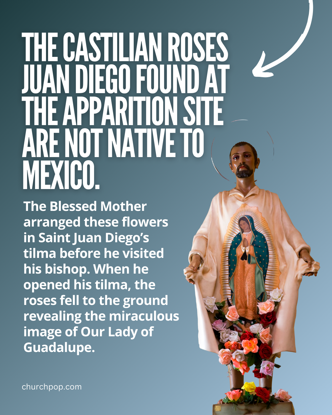 our lady of guadalupe with juan diego