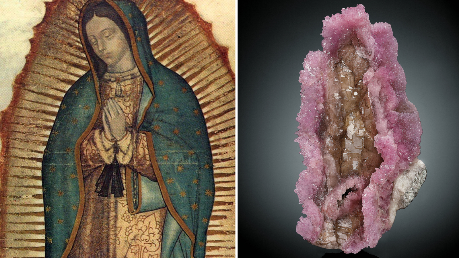la madona rosa the pink madonna