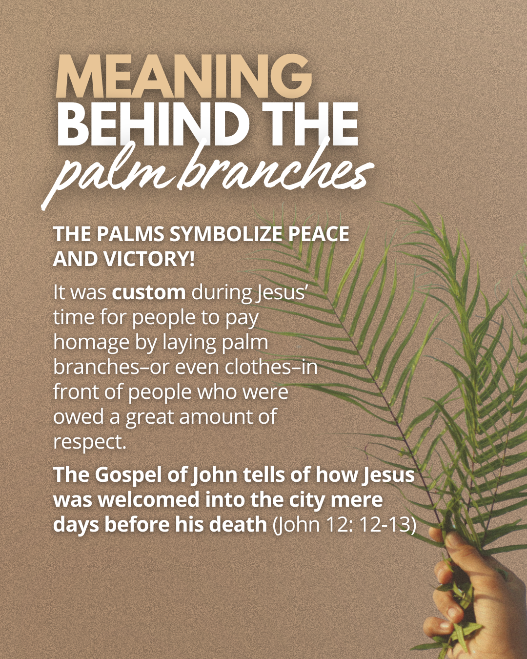  what does palm sunday mean